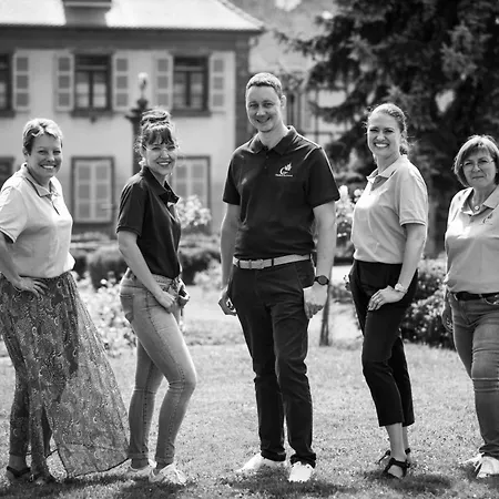 Hotellerie Du Couvent Otel Oberbronn