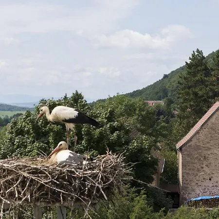 Otel Hotellerie Du Couvent Oberbronn