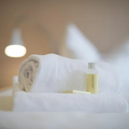 Hotellerie Du Couvent 호텔 Oberbronn