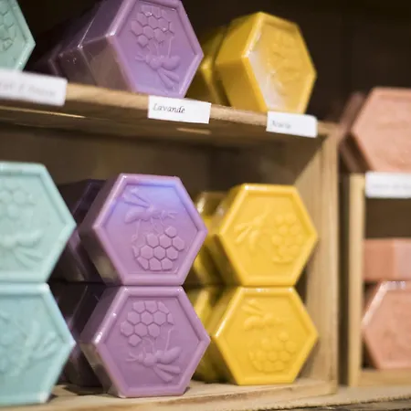 Hotellerie Du Couvent 3* Oberbronn