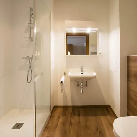 Hotellerie Du Couvent 3* Oberbronn