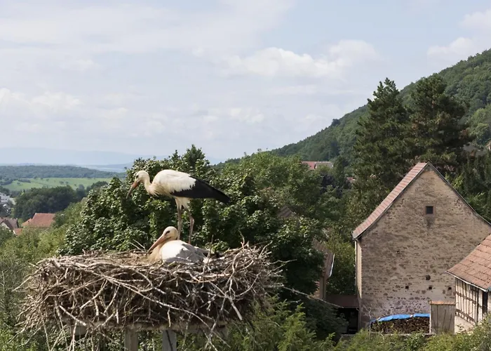 Hotel Hotellerie Du Couvent Oberbronn