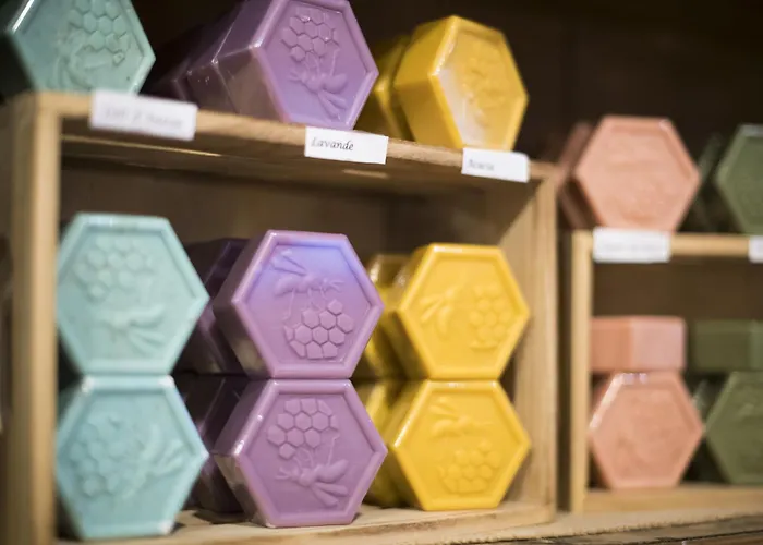 Hotellerie Du Couvent 3* Oberbronn